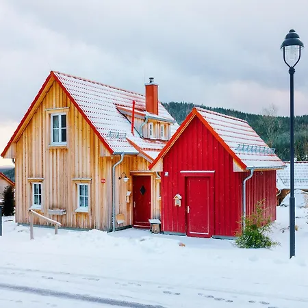 Holiday home Homes In The Harzresort, *