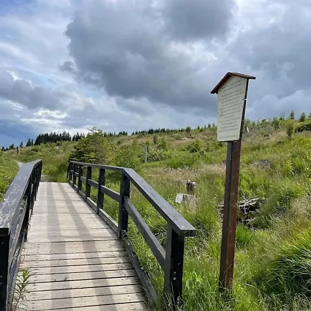Ferienhaeuser Im Harzresort,