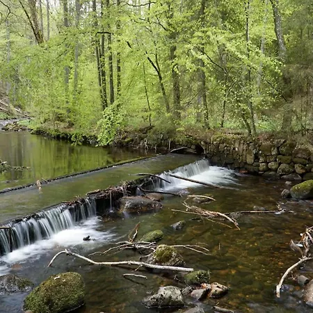 Hébergement de vacances Ferienhaeuser Im Harzresort, *