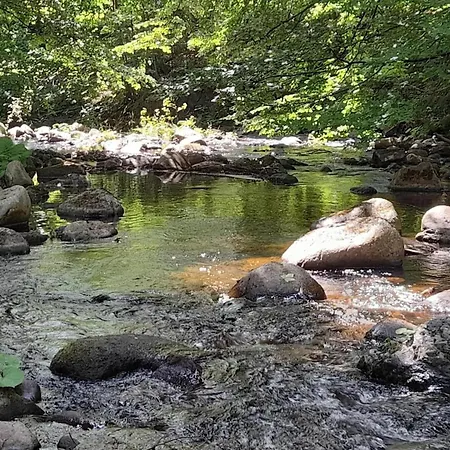 Ferienhaeuser Im Harzresort, * Schierke