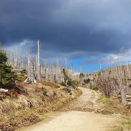 Hébergement de vacances Ferienhaeuser Im Harzresort,