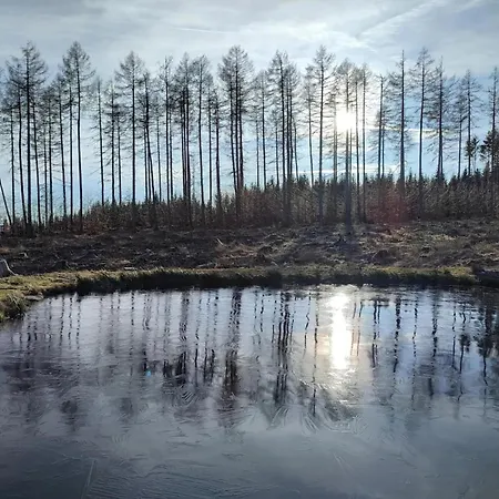 Ferienhaeuser Im Harzresort, *