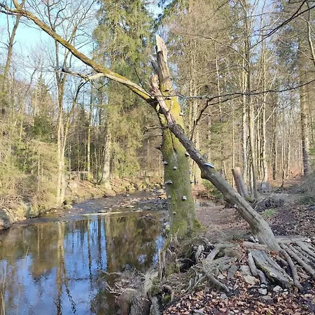 Ferienhaeuser Im Harzresort, *
