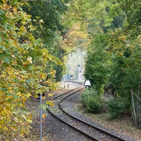 Ferienhaeuser Im Harzresort,