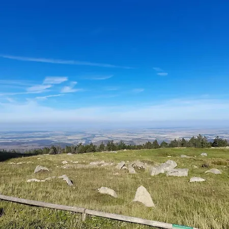 Ferienhaeuser Im Harzresort, Hébergement de vacances
