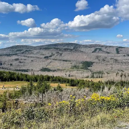 Ferienhaeuser Im Harzresort, Hébergement de vacances *