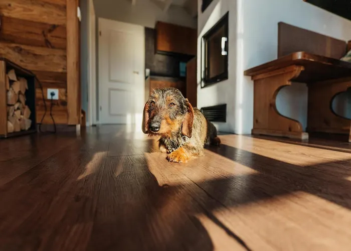 Dom wakacyjny Ferienhaeuser Im Harzresort, *