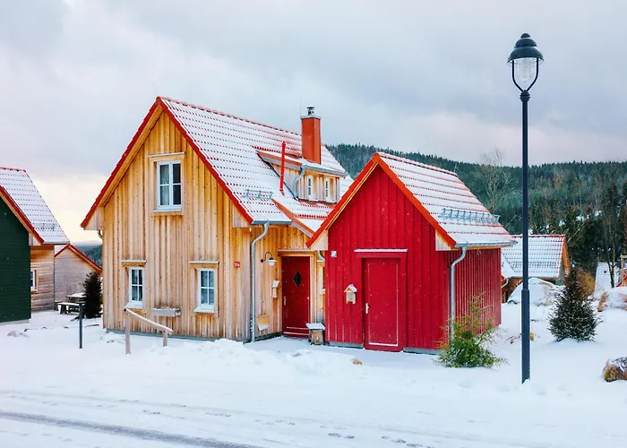 Dom wakacyjny Ferienhaeuser Im Harzresort, *
