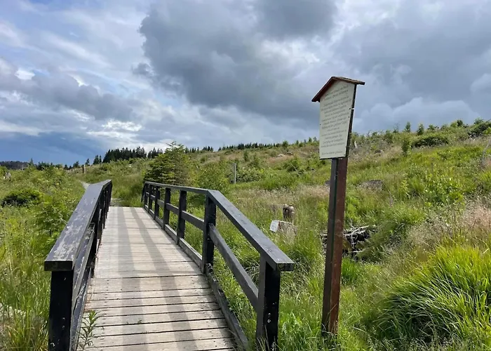 Ferienhaeuser Im Harzresort,