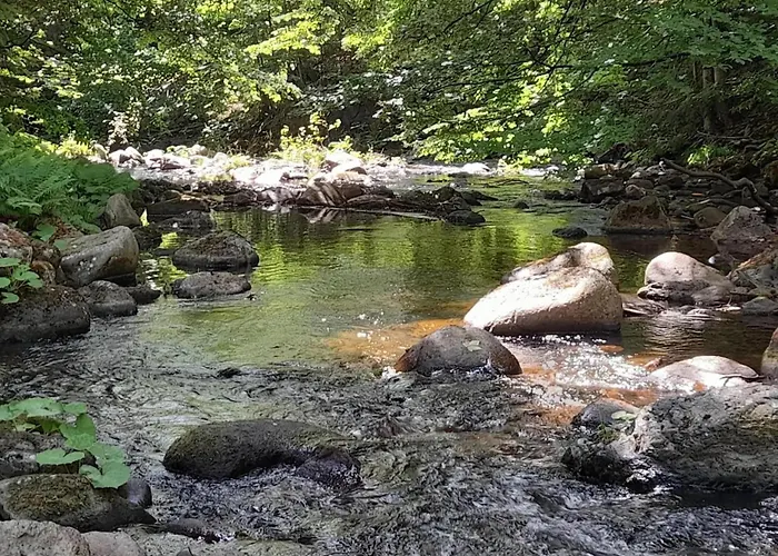 Ferienhaeuser Im Harzresort, * Schierke