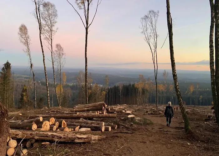 Dom wakacyjny Ferienhaeuser Im Harzresort, Schierke