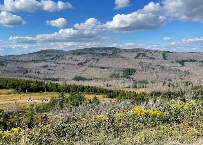 Ferienhaeuser Im Harzresort, Dom wakacyjny *